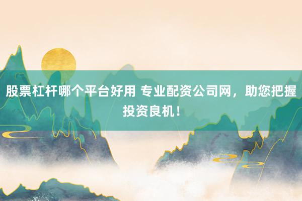 股票杠杆哪个平台好用 专业配资公司网，助您把握投资良机！