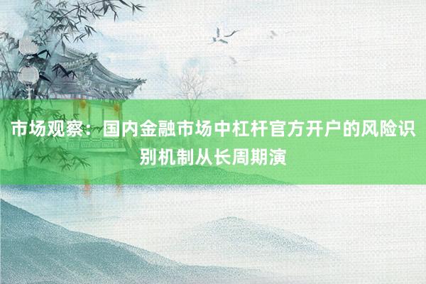 市场观察：国内金融市场中杠杆官方开户的风险识别机制从长周期演