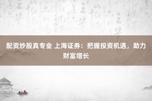 配资炒股真专业 上海证券：把握投资机遇，助力财富增长