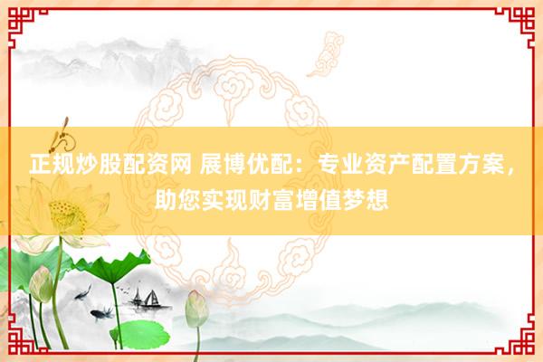 正规炒股配资网 展博优配：专业资产配置方案，助您实现财富增值梦想