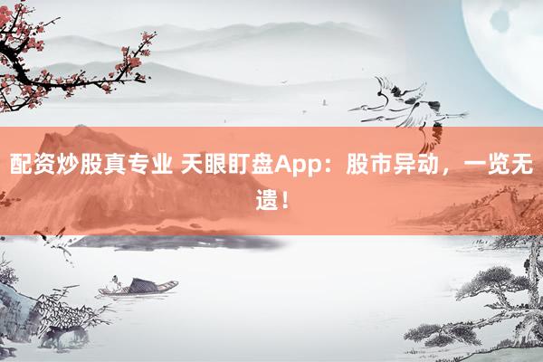 配资炒股真专业 天眼盯盘App：股市异动，一览无遗！