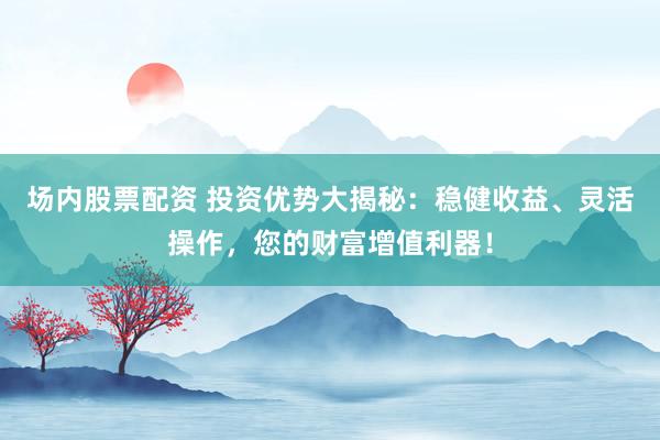 场内股票配资 投资优势大揭秘：稳健收益、灵活操作，您的财富增值利器！